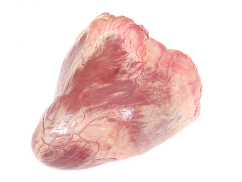 raw veal heart on a white background