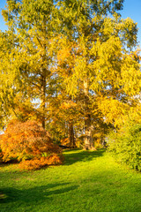 Colorfull italian park with trees and autumn colors