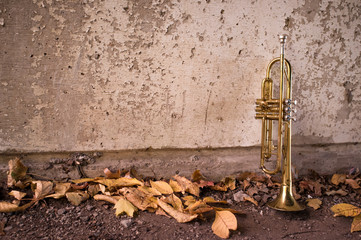 Old Trumpet Autumn Leaves