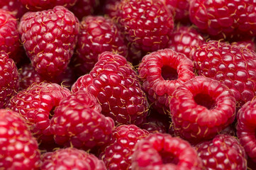 Freshly picked raspberry, many ripe sweet red fruits, closeup, healthy food, natural background 