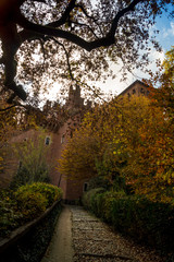 Fototapeta premium Colorfull italian park with trees and autumn colors