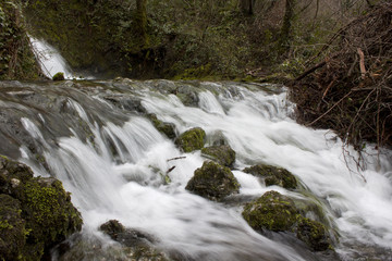 Obraz premium The river in winter