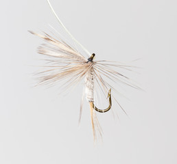 Obraz premium fly for fishing on a white background