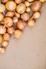 Fresh onions. Onions background. Ripe onions. Onions on table