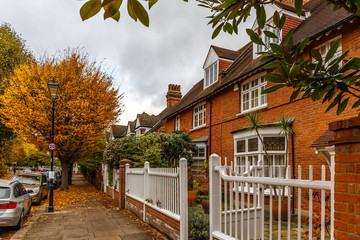 Chiswick suburb street in autumn, London