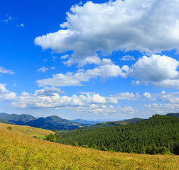 Summer Carpathian mountain view, Ukraine.