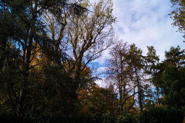 Obraz na płótnie Canvas Colorfull italian park with trees and autumn colors