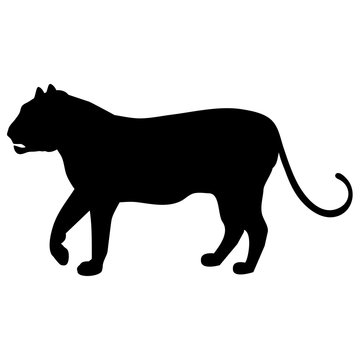 Black-and-white silhouette of a tiger or a lion with a tail, paw