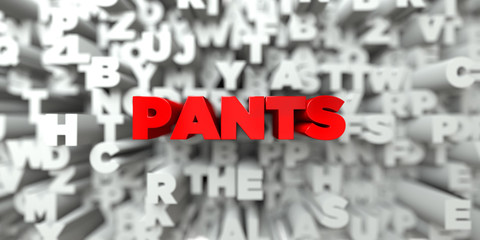 PANTS -  Red text on typography background - 3D rendered royalty free stock image. This image can be used for an online website banner ad or a print postcard.