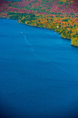 Lake view in autumn forest in daylight