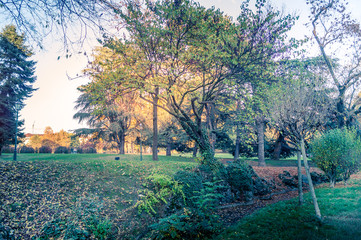 Colorfull italian park with trees and autumn colors