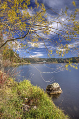 Looking through branches at scenery.