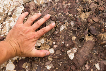 hand on the stone in nature