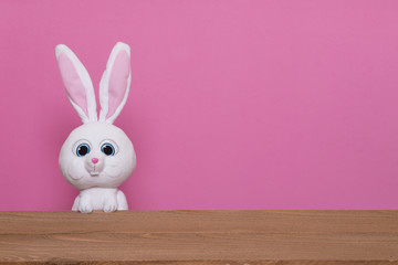 easter bunny and wood background