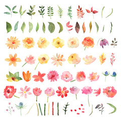Vector floral set. Colorful collection with leafs and flowers. - 126180644