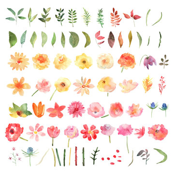 Vector floral set. Colorful collection with leafs and flowers.