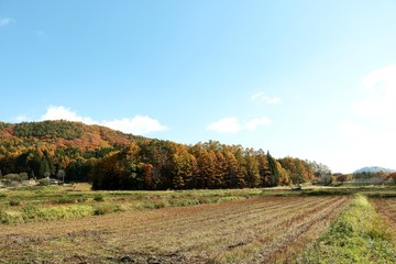 Fototapeta na wymiar 秋の農村/農村の農閑期の風景