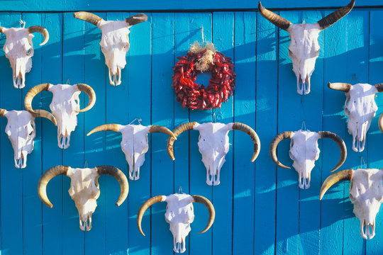 Cow Skulls And Christmas Wreath, Featherston Trading Company, Rancho De Taos, New Mexico