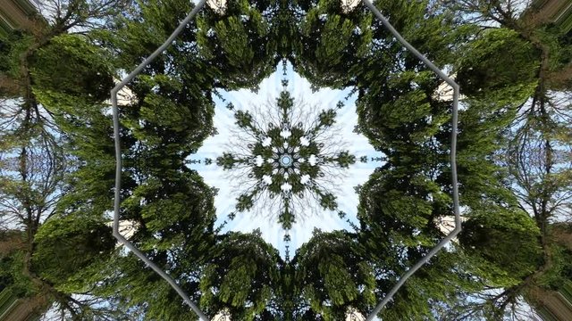 Background kaleodoscope green trees