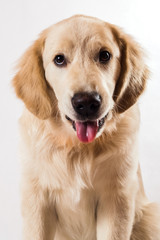 contorts face, sitting in the studio, white background