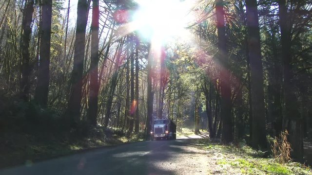 Logging truck with full load of fresh cut trees driving up forest road in Pacific Northwest, Oregon.