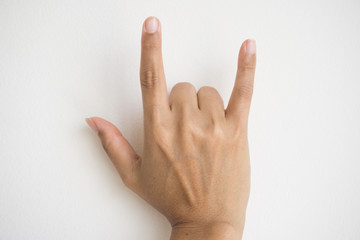 I love you in hand sign language.
