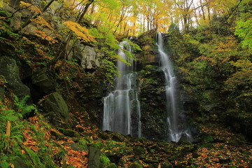 紅葉の友情の滝