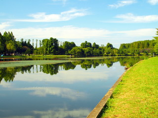 Fototapeta premium 対岸から見る水元公園風景