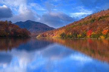 Fall scene at Biwa pond on Shiga-kogen, Yamanouchi-machi, Shimotakai-gun, Nagano, Japan.