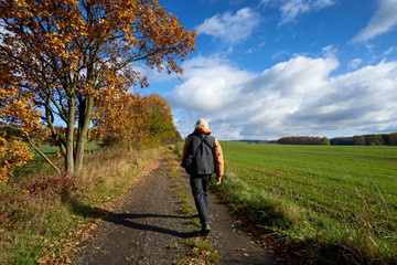 Pedestrian on the road between alley in fall colors and green field on a sunny day with blue sky and dramatic white clouds.