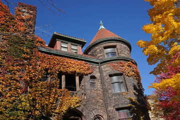 college building with colorful ivy in fall