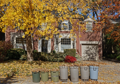 front yard of house with row of garbage cans full of collected leaves