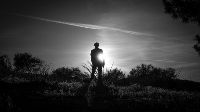 Silhouette of Man In Nature