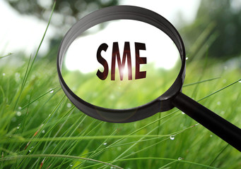 SME (small medium enterprise)