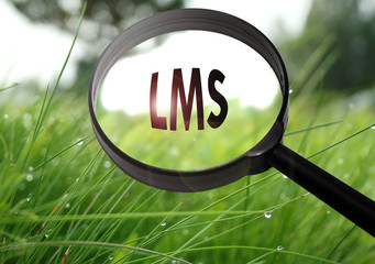 LMS (Learning Management System)