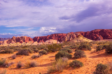 The Valley of Fire State Park, USA.