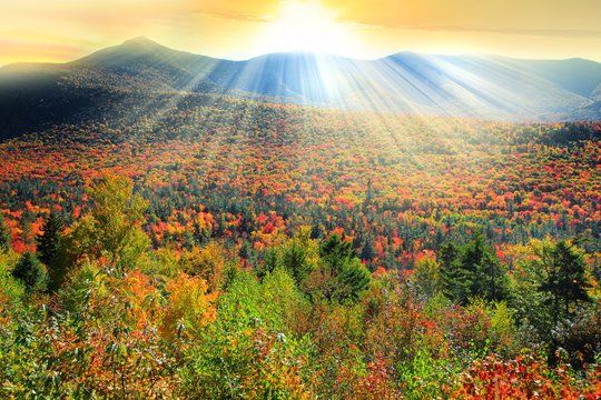White Mountain National Forest In Autumn Time