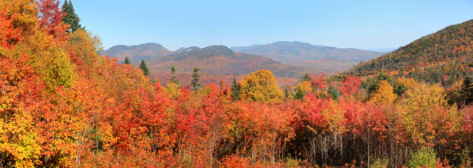 White mountain national forest in New Hampshire - obrazy, fototapety, plakaty
