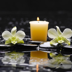 Two white orchid and candle on black stones 