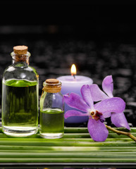 bamboo grove with orchid ,candle ,massage oil on wet background