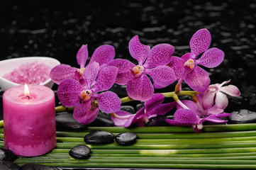 Obraz na płótnie Canvas Still life with Pink orchid with black stones with candle ,,salt in bowl green plant