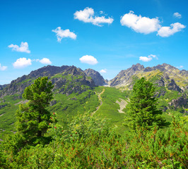 Summer mountain landscape. Mengusovska Valley in Vysoke Tatry (High Tatras), Slovakia