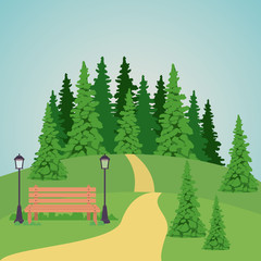 Park with lamp bench and pine trees icon. Landscape outdoor season spring and summer theme. Vector illustration