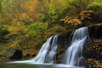 Fototapeta na wymiar 紅葉の一の滝