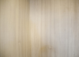 Obraz premium Texture of wood background closeup
