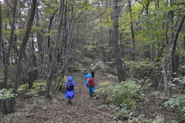 山歩きを楽しむ子ども達　家族　親子　森のなか　秋　遠足