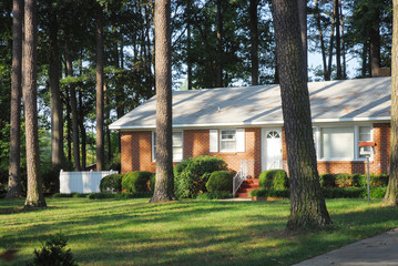 home house surrounded by pine trees