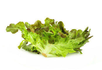 Fresh vegetables with leaf lettuce. Isolated on white background
