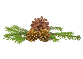 Pine cones with branch on a white background