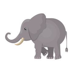 elephant indian isolated icon vector illustration design